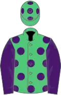 Emerald green, purple spots, sleeves and spots on cap