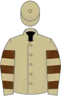 Beige, brown hooped sleeves
