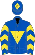 ROYAL BLUE,yellow inverted triangle and chevrons on sleeves,blue cap, yellow diamond