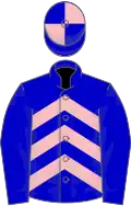 Blue, pink chevrons on body, quartered cap