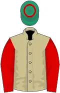 Beige, red sleeves, emerald green cap, red hoop