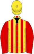 Red and yellow stripes, red sleeves, yellow cap