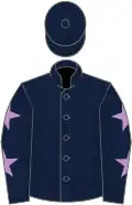 Dark blue, mauve stars on sleeves