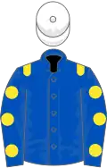 Royal Blue, Yellow epaulets, Royal Blue sleeves, Yellow spots, White cap