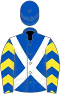 Royal blue, white cross belts, royal blue and yellow chevrons on sleeves