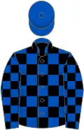 Royal blue and black check, royal blue cap