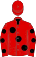 Red, large black spots, black spots on sleeves, red cap