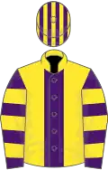 Yellow, purple stripe, purple and yellow hooped sleeves, striped cap