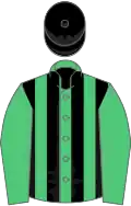 Emerald Green and Black stripes, Emerald Green sleeves, Black cap