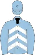 Light blue, white chevrons, light blue sleeves and cap