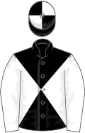 BLACK and WHITE DIABOLO, white sleeves, quartered cap