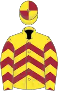 YELLOW and MAROON CHEVRONS, quartered cap