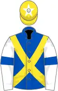 Royal blue, yellow cross sashes, white sleeves, royal blue armlet, yellow cap, white star
