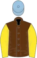 Brown, yellow sleeves, light blue cap