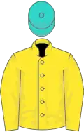 Yellow, Turquoise cap