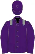 Purple, grey epaulets