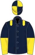 Dark blue, yellow epaulets, halved sleeves, quartered cap