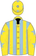 Yellow and light blue stripes, yellow sleeves, light blue stars, yellow cap, light blue stars