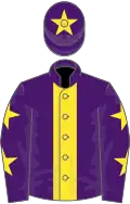 Purple, yellow stripe, purple sleeves, yellow stars, purple cap, yellow star