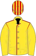 Yellow, red seams on body, striped cap