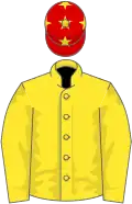 Yellow, red cap, yellow stars