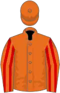 Orange, red striped sleeves