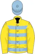 Yellow and Light Blue hoops, Yellow sleeves, Light Blue cap