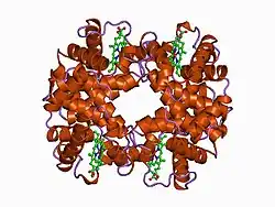 1a01: HEMOGLOBIN (VAL BETA1 MET, TRP BETA37 ALA) MUTANT