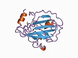 1a44: PHOSPHATIDYLETHANOLAMINE BINDING PROTEIN FROM CALF BRAIN