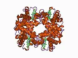 1abw: DEOXY RHB1.1 (RECOMBINANT HEMOGLOBIN)