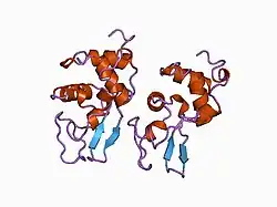 1b5z: CONTRIBUTION OF HYDROGEN BONDS TO THE CONFORMATIONAL STABILITY OF HUMAN LYSOZYME: CALORIMETRY AND X-RAY ANALYSIS OF SIX SER->ALA MUTANTS