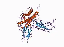 1bp3: THE XRAY STRUCTURE OF A GROWTH HORMONE-PROLACTIN RECEPTOR COMPLEX