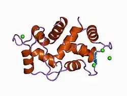 1cm1: MOTIONS OF CALMODULIN-SINGLE-CONFORMER REFINEMENT