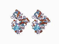 1d0a: STRUCTURE OF TNF RECEPTOR ASSOCIATED FACTOR 2 (TRAF2) IN COMPLEX WITH A HUMAN OX40 PEPTIDE