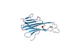 1dg6: CRYSTAL STRUCTURE OF APO2L/TRAIL