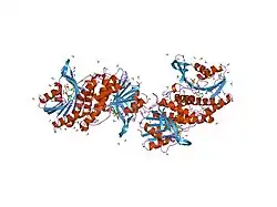1dir: CRYSTAL STRUCTURE OF A MONOCLINIC FORM OF DIHYDROPTERIDINE REDUCTASE FROM RAT LIVER