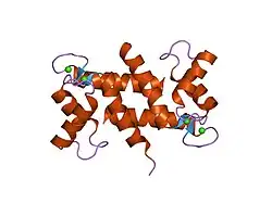 1e8a: THE THREE-DIMENSIONAL STRUCTURE OF HUMAN S100A12