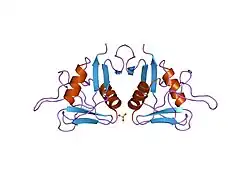 1e8i: HUMAN CD69 - TETRAGONAL FORM