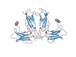 1eba: COMPLEX BETWEEN THE EXTRACELLULAR DOMAIN OF ERYTHROPOIETIN (EPO) RECEPTOR [EBP] AND AN INACTIVE PEPTIDE [EMP33] CONTAINS 3,5-DIBROMOTYROSINE IN POSITION 4 (DENOTED DBY)