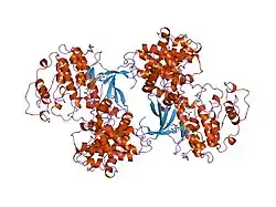 1fin: CYCLIN A-CYCLIN-DEPENDENT KINASE 2 COMPLEX