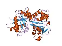 1fqe: CRYSTAL STRUCTURES OF MUTANT (K206A) THAT ABOLISH THE DILYSINE INTERACTION IN THE N-LOBE OF HUMAN TRANSFERRIN