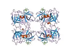 1fuj: PR3 (MYELOBLASTIN)
