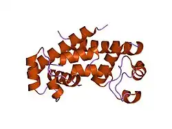 1g8q: CRYSTAL STRUCTURE OF HUMAN CD81 EXTRACELLULAR DOMAIN, A RECEPTOR FOR HEPATITIS C VIRUS