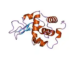 1gfe: CRYSTAL STRUCTURE OF MUTANT HUMAN LYSOZYME SUBSTITUTED AT THE SURFACE POSITIONS