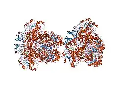 1gth: DIHYDROPYRIMIDINE DEHYDROGENASE (DPD) FROM PIG, TERNARY COMPLEX WITH NADPH AND 5-IODOURACIL