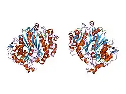 1hvy: Human thymidylate synthase complexed with dUMP and Raltitrexed, an antifolate drug, is in the closed conformation
