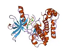 1i44: CRYSTALLOGRAPHIC STUDIES OF AN ACTIVATION LOOP MUTANT OF THE INSULIN RECEPTOR TYROSINE KINASE