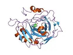 1i9p: CARBONIC ANHYDRASE II (F131V) COMPLEXED WITH 4-(AMINOSULFONYL)-N-[(2,4,6-TRIFLUOROPHENYL)METHYL]-BENZAMIDE