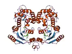 1isf: Crystal Structure Analysis of BST-1/CD157