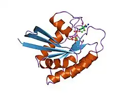 1jai: H-RAS P21 PROTEIN MUTANT G12P, COMPLEXED WITH GUANOSINE-5'-[BETA,GAMMA-METHYLENE] TRIPHOSPHATE AND MANGANESE